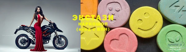 ECSTASY Алзамай