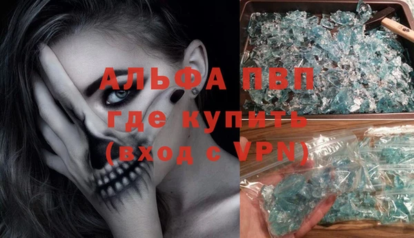 ECSTASY Алзамай