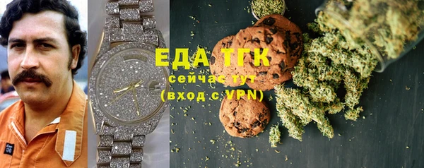 ECSTASY Алзамай