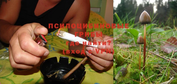 прущие грибы Алексеевка
