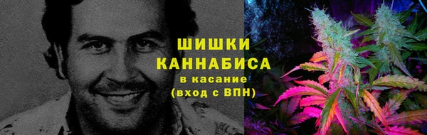 ECSTASY Алзамай